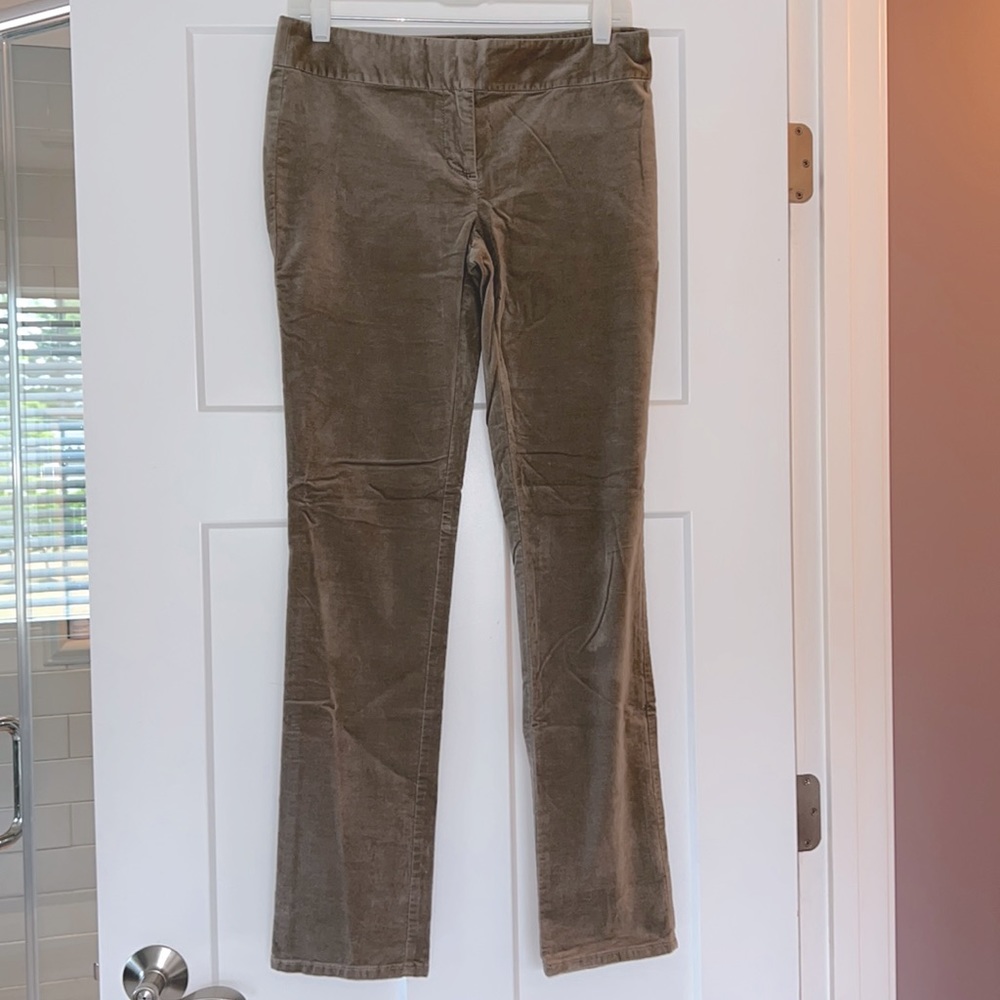 Ann Taylor Loft tan velour pants EUC size 2